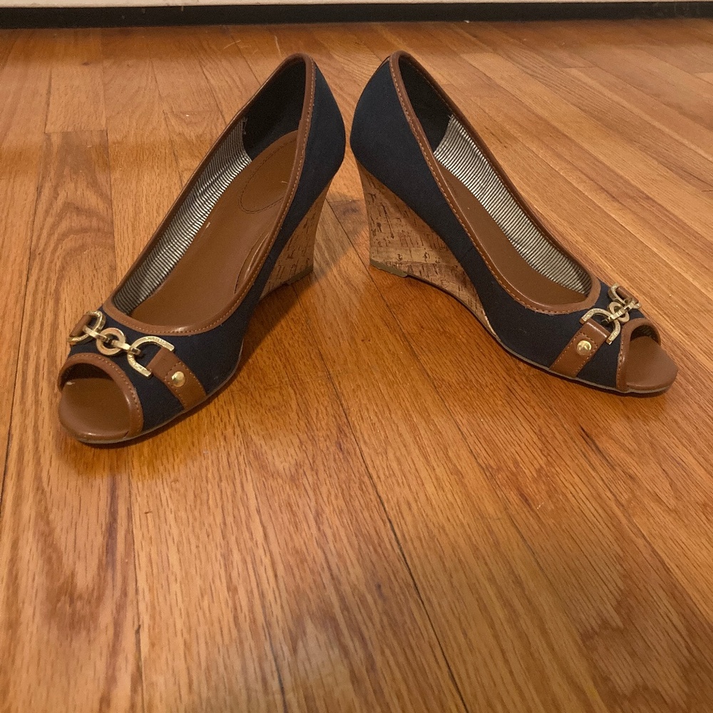 Blue and brown wedges